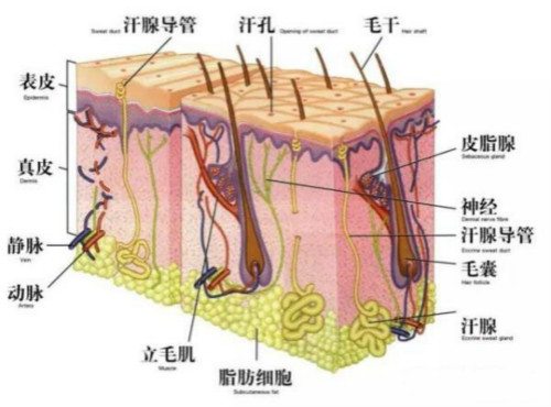 激光美容儀器有什么獨特之處？