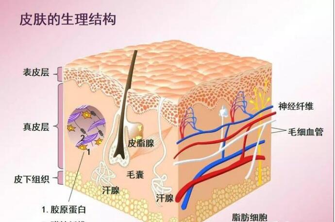 智能魔鏡皮膚檢測(cè)儀，讓您護(hù)膚之前先認(rèn)清自己的“臉”